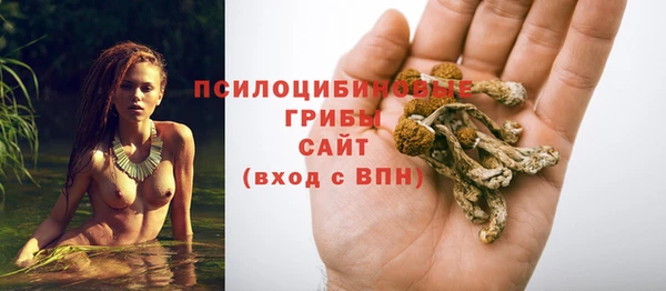 СК Куйбышев