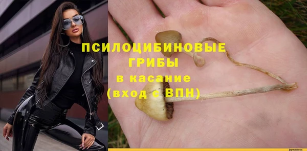 а пвп мука Кукмор