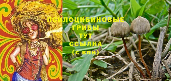 а пвп мука Кукмор