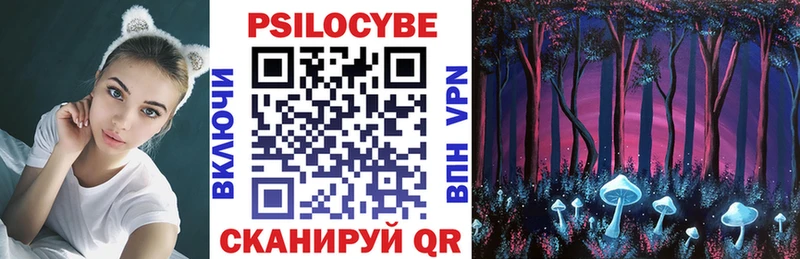 Купить  Поворино  Галлюциногенные грибы MAGIC MUSHROOMS 